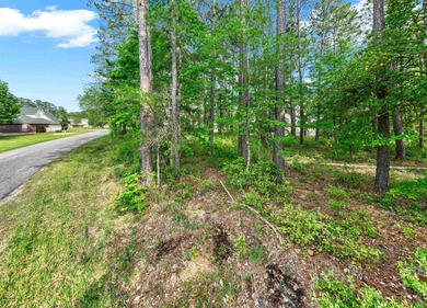 Calling all lake lovers!   Have you been dreaming of building on Rayburn Country Club in Texas - for sale on GolfHomes.com, golf home, golf lot