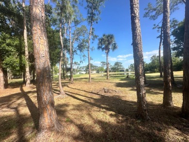 Lot Rent $1342.00 Monthly  Total square footage under A/C is on Del Tura Golf and Country Club in Florida - for sale on GolfHomes.com, golf home, golf lot