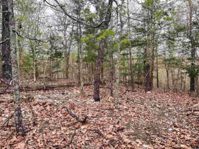 Plenty of room to build your dream home.  This land has a vista on Cherokee Village South Course in Arkansas - for sale on GolfHomes.com, golf home, golf lot