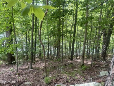 Spectacular views from  these two lots being offered together on on Heatherhurst Golf Course in Tennessee - for sale on GolfHomes.com, golf home, golf lot
