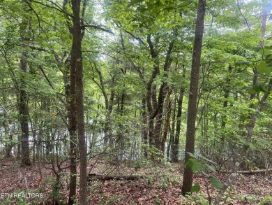 Spectacular views from  these two lots being offered together on on Heatherhurst Golf Course in Tennessee - for sale on GolfHomes.com, golf home, golf lot