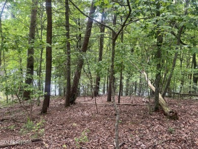 Spectacular views from  these two lots being offered together on on Heatherhurst Golf Course in Tennessee - for sale on GolfHomes.com, golf home, golf lot