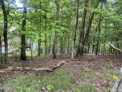 Spectacular views from  these two lots being offered together on on Heatherhurst Golf Course in Tennessee - for sale on GolfHomes.com, golf home, golf lot