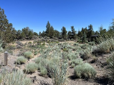 This Four Peaks lot is close to all the resort action AND allows on The Club At Pronghorn Golf Course in Oregon - for sale on GolfHomes.com, golf home, golf lot
