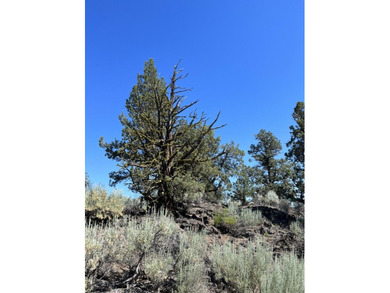 This Four Peaks lot is close to all the resort action AND allows on The Club At Pronghorn Golf Course in Oregon - for sale on GolfHomes.com, golf home, golf lot