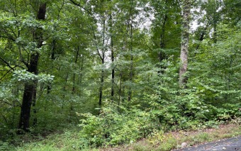 BEAUTIFULLY WOODED LOT IN THE MOUNTAINS OF NORTH CAROLINA!! for sale on GolfHomes.com