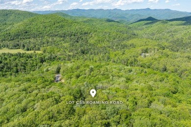 Discover serene living on this long-range-view lot with on Natures Walk At Chinquapin in North Carolina - for sale on GolfHomes.com, golf home, golf lot