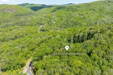 Discover serene living on this long-range-view lot with on Natures Walk At Chinquapin in North Carolina - for sale on GolfHomes.com, golf home, golf lot