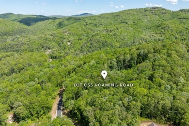 Discover serene living on this long-range-view lot with on Natures Walk At Chinquapin in North Carolina - for sale on GolfHomes.com, golf home, golf lot