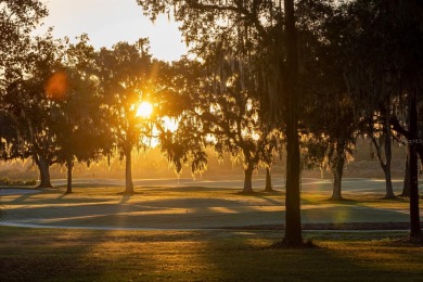 Design your architectural masterpiece on this prime homesite on Golden Ocala Golf and Equestrian Club in Florida - for sale on GolfHomes.com, golf home, golf lot