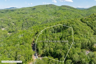 Discover serene living on this long-range-view lot with on Natures Walk At Chinquapin in North Carolina - for sale on GolfHomes.com, golf home, golf lot