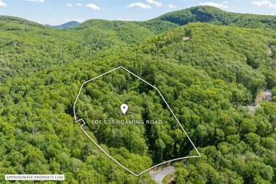 Discover serene living on this long-range-view lot with on Natures Walk At Chinquapin in North Carolina - for sale on GolfHomes.com, golf home, golf lot