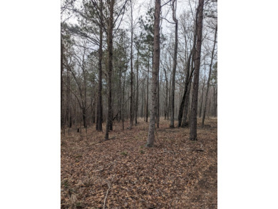 This 1.37 acre lot has fabulous pond and golf course views.  It on Mount Vintage Plantation and Golf Club  in South Carolina - for sale on GolfHomes.com, golf home, golf lot