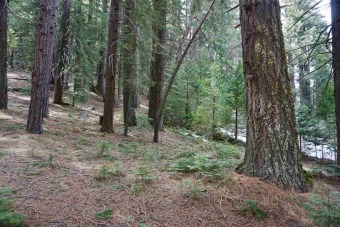 THIS IS THE WHIMSICAL FOREST LOT YOU'VE BEEN DREAMING OF! on Plumas Pines Golf Resort in California - for sale on GolfHomes.com, golf home, golf lot