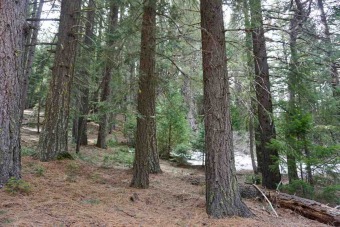 THIS IS THE WHIMSICAL FOREST LOT YOU'VE BEEN DREAMING OF! on Plumas Pines Golf Resort in California - for sale on GolfHomes.com, golf home, golf lot