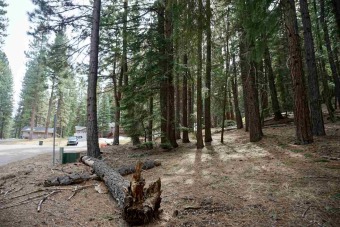 THIS IS THE WHIMSICAL FOREST LOT YOU'VE BEEN DREAMING OF! on Plumas Pines Golf Resort in California - for sale on GolfHomes.com, golf home, golf lot