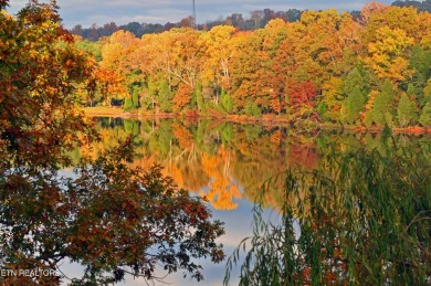 Introducing a picturesque one-level building site nestled within on Rarity Bay Country Club - Loudon in Tennessee - for sale on GolfHomes.com, golf home, golf lot