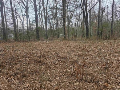 Great Investment opportunity. 22 Lots in Beautiful Cherokee on Cherokee Village North Course in Arkansas - for sale on GolfHomes.com, golf home, golf lot