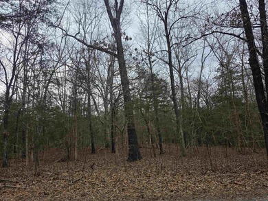 Great Investment opportunity. 22 Lots in Beautiful Cherokee on Cherokee Village North Course in Arkansas - for sale on GolfHomes.com, golf home, golf lot