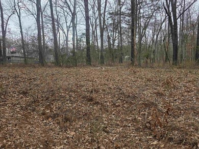 Great Investment opportunity. 22 Lots in Beautiful Cherokee on Cherokee Village North Course in Arkansas - for sale on GolfHomes.com, golf home, golf lot
