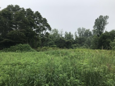 Build your dream home on this partially-cleared wooded lot in on Ravines Golf Club in Michigan - for sale on GolfHomes.com, golf home, golf lot