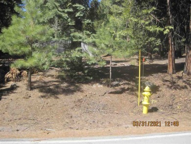 Nice sized lot of over 1/2 acre, (.54), with possibility for a on Lake Almanor Country Club in California - for sale on GolfHomes.com, golf home, golf lot