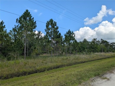 Come build your forever home on this one-half corner lot that on Indian Lake Estates Golf and Country Club in Florida - for sale on GolfHomes.com, golf home, golf lot
