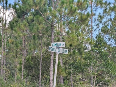 Come build your forever home on this one-half corner lot that on Indian Lake Estates Golf and Country Club in Florida - for sale on GolfHomes.com, golf home, golf lot