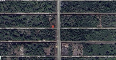 Come build your forever home on this one-half corner lot that on Indian Lake Estates Golf and Country Club in Florida - for sale on GolfHomes.com, golf home, golf lot
