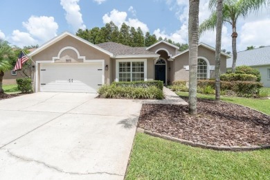 Under contract-accepting backup offers. Welcome to 18913 Maisons on TPC of Tampa Bay in Florida - for sale on GolfHomes.com, golf home, golf lot
