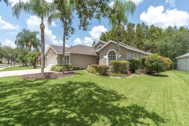 Under contract-accepting backup offers. Welcome to 18913 Maisons on TPC of Tampa Bay in Florida - for sale on GolfHomes.com, golf home, golf lot