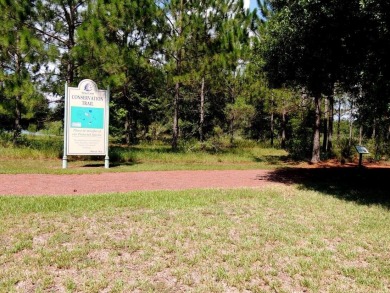 Discover your dream home in this exquisite 1936 sq. ft. Sanibel on Eagle Ridge At Spruce Creek Country Club in Florida - for sale on GolfHomes.com, golf home, golf lot