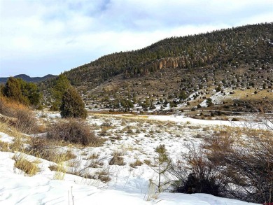 Suzy Woodward, Team Murphy Realty, C: , suzy,  : Gently sloping on Rio Grande Golf Club in Colorado - for sale on GolfHomes.com, golf home, golf lot