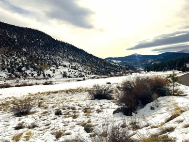 Suzy Woodward, Team Murphy Realty, C: , suzy,  : Gently sloping on Rio Grande Golf Club in Colorado - for sale on GolfHomes.com, golf home, golf lot