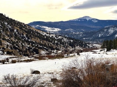 Suzy Woodward, Team Murphy Realty, C: , suzy,  : Gently sloping on Rio Grande Golf Club in Colorado - for sale on GolfHomes.com, golf home, golf lot