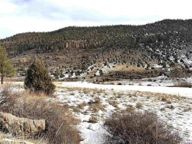 Suzy Woodward, Team Murphy Realty, C: , suzy,  : Gently sloping on Rio Grande Golf Club in Colorado - for sale on GolfHomes.com, golf home, golf lot