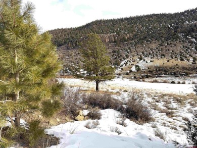 Suzy Woodward, Team Murphy Realty, C: , suzy,  : Gently sloping on Rio Grande Golf Club in Colorado - for sale on GolfHomes.com, golf home, golf lot