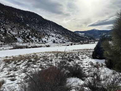 Suzy Woodward, Team Murphy Realty, C: , suzy,  : Gently sloping on Rio Grande Golf Club in Colorado - for sale on GolfHomes.com, golf home, golf lot