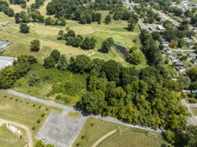 Attention Developers and Investors. Here is an opportunity you on Johnson City Country Club in Tennessee - for sale on GolfHomes.com, golf home, golf lot