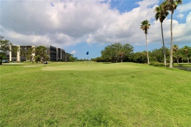 Discover stylish comfort in this beautiful 2-bedroom, 2-bathroom on Cove Cay Country Club in Florida - for sale on GolfHomes.com, golf home, golf lot