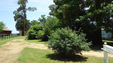 BREATHE-TAKING VIEWS OVERLOOKING TOLEDO BEND LAKE, LOCATED on Cypress Bend Golf Course in Texas - for sale on GolfHomes.com, golf home, golf lot