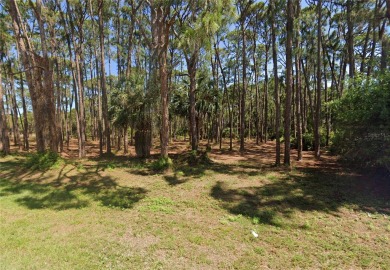 Great lot for sale, 80' x 135' at the beginning of deed on Lemon Bay Golf Club in Florida - for sale on GolfHomes.com, golf home, golf lot