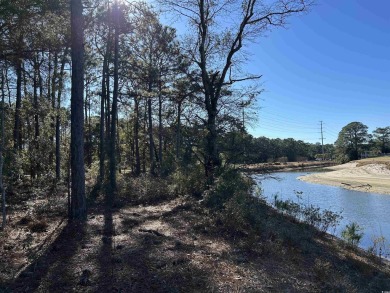 Location! Location! Location! A true rare find! Situated between on True Blue Plantation in South Carolina - for sale on GolfHomes.com, golf home, golf lot