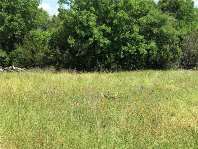 Over half an acre located in fast developing community.  Enjoy on White Bluff Resort - Old Course in Texas - for sale on GolfHomes.com, golf home, golf lot