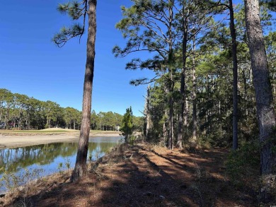 Location! Location! Location! A true rare find! Situated between on True Blue Plantation in South Carolina - for sale on GolfHomes.com, golf home, golf lot