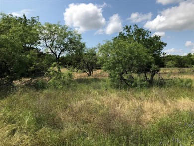 Over half an acre located in fast developing community.  Enjoy on White Bluff Resort - Old Course in Texas - for sale on GolfHomes.com, golf home, golf lot