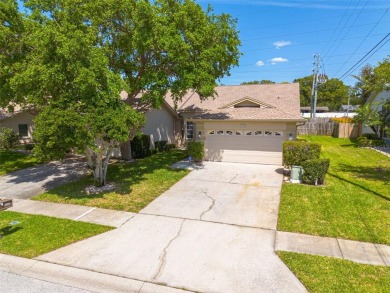 Under contract-accepting backup offers. If you've been looking on Countryside Country Club in Florida - for sale on GolfHomes.com, golf home, golf lot