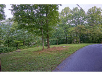 TWO LOTS IN ONE that offers 1.3 acres on the old Buffalo Valley on Buffalo Valley Golf Course in Tennessee - for sale on GolfHomes.com, golf home, golf lot
