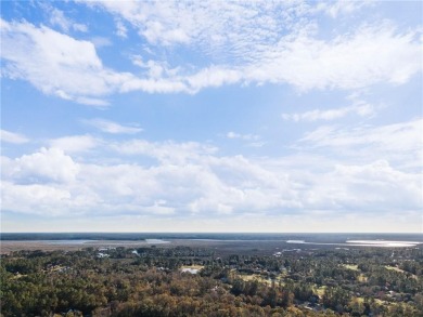 Welcome to your almost new dream home (2022) in the historic on The Club At Osprey Cove in Georgia - for sale on GolfHomes.com, golf home, golf lot