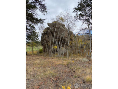 With 11,300 sqft this is one of the last lots directly on a on Fox Acres Country Club in Colorado - for sale on GolfHomes.com, golf home, golf lot